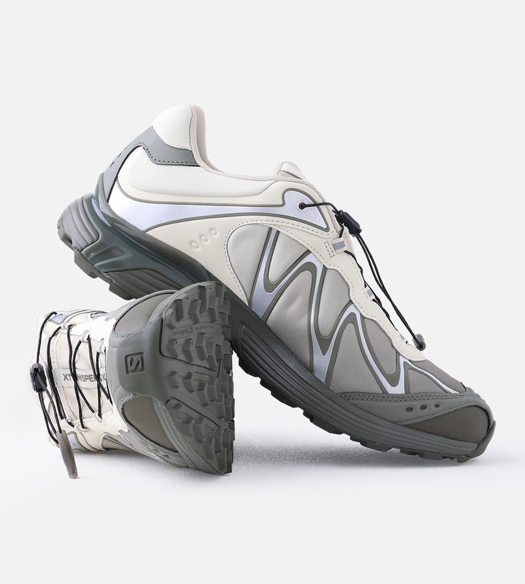 Salomon XT-Whisper GTX Asparg Dlicgr Grape