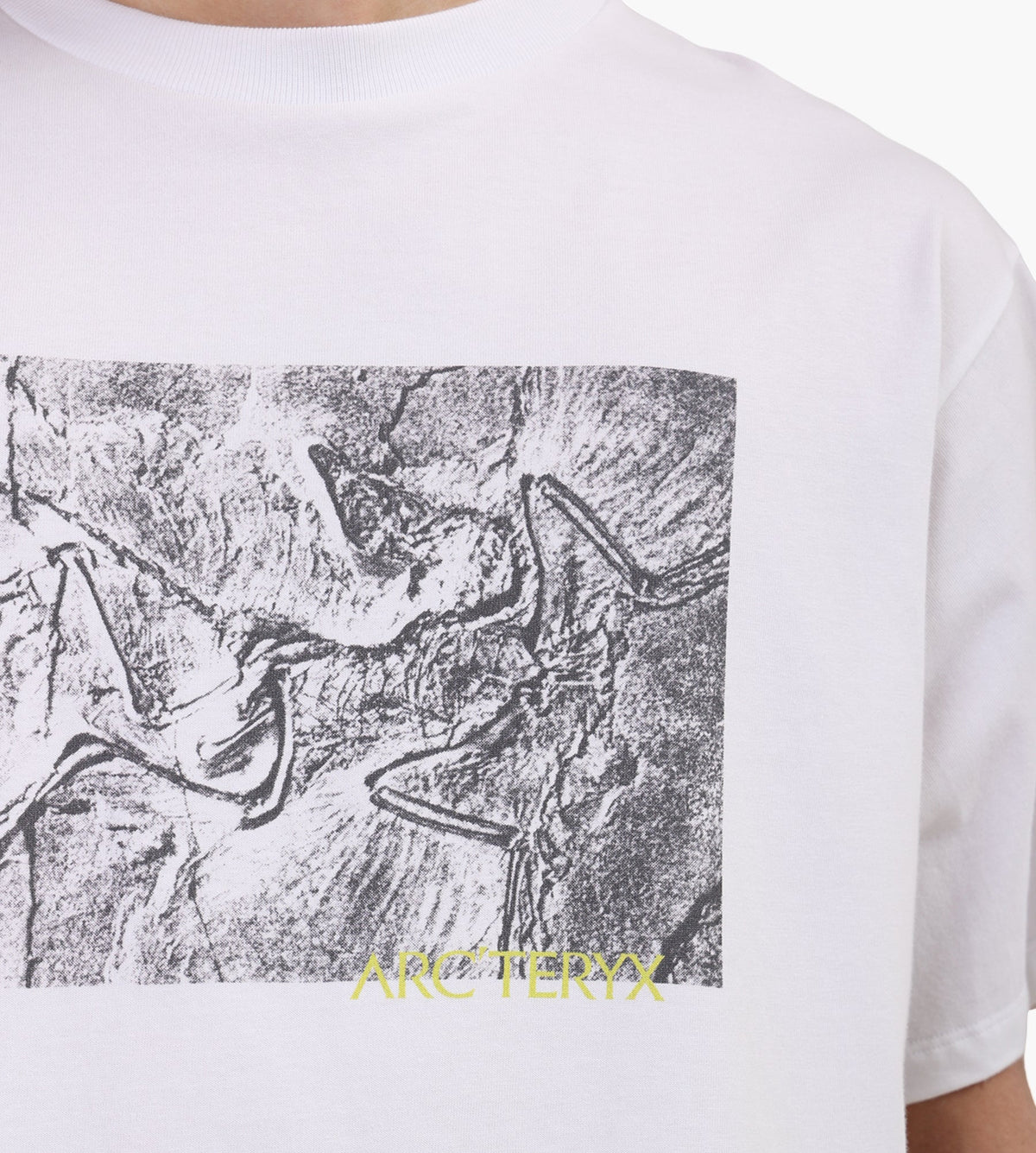 Arc'teryx Kragg Cotton Lithographica SS Tee M White Light